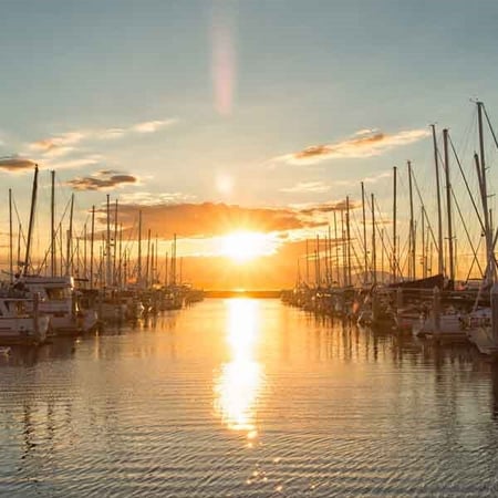 Marina_with_boats-crop