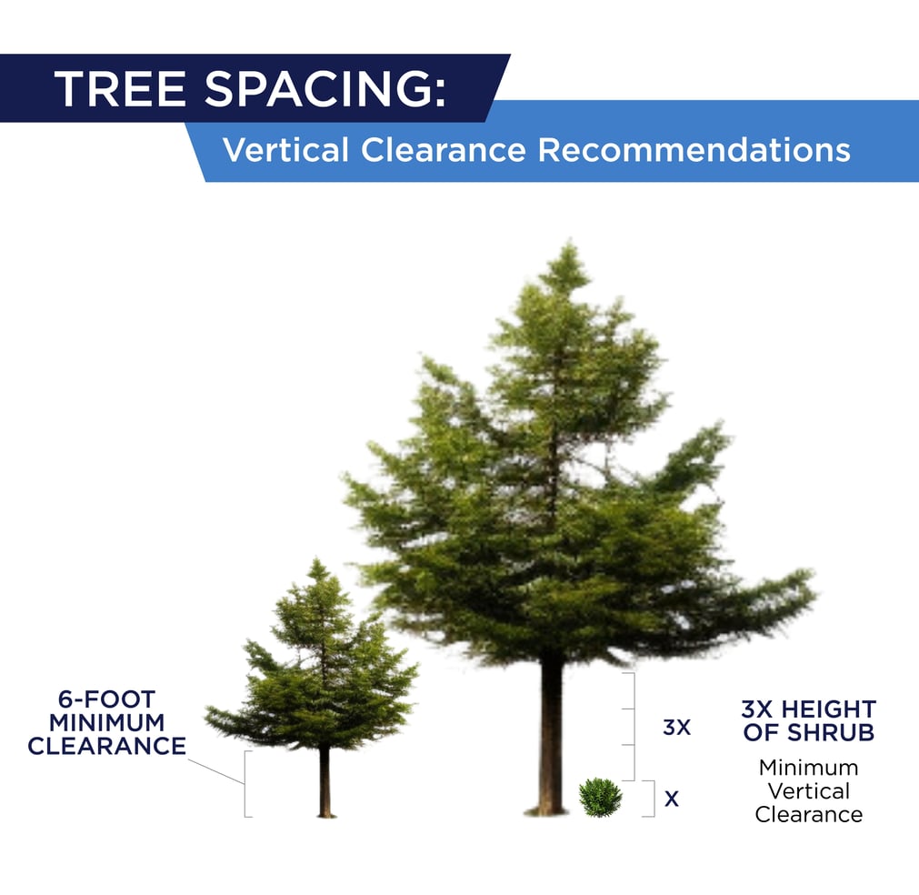 Vertical clearance infographic: Recommendations for trees and shrubs in a defensible space for wildfire prevention.